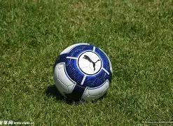 凯尔特人领,实力排行榜,森林狼紧随,开云体育,开云体育官网,开云体育app,开云体育平台,KAIYUN,SPORTS,kaiyun登录入口