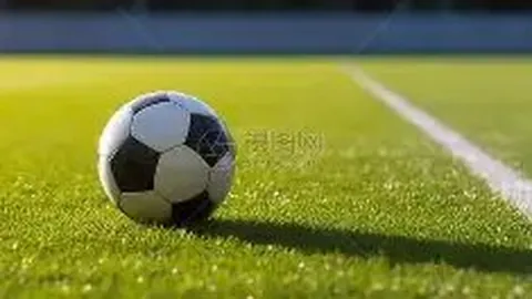 凯尔特人领跑NBA实力排行榜 森林狼紧随其后居次席