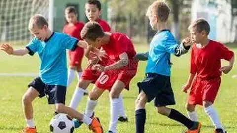 黄金ETF（518880）吸金4.86亿，同类基金领先